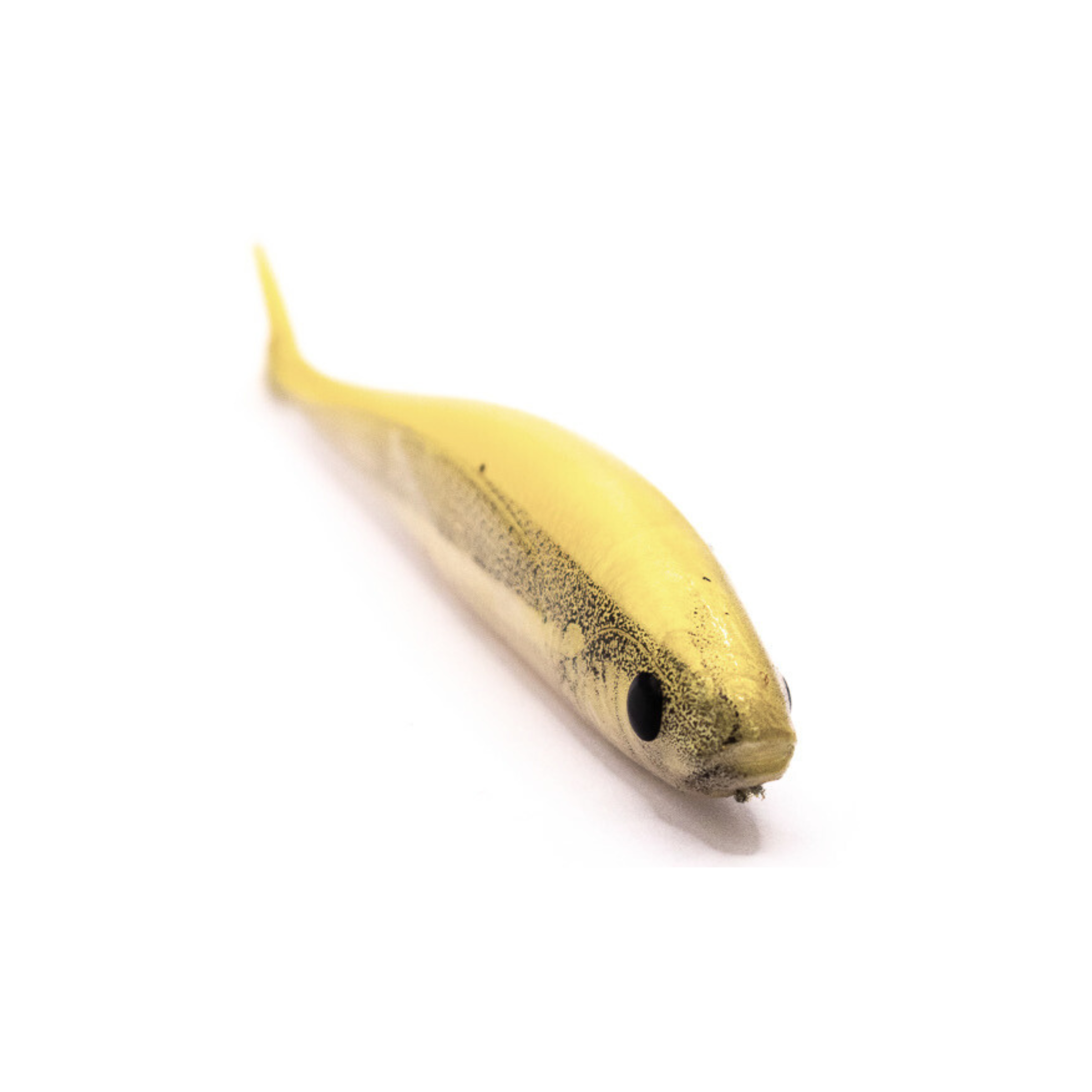 S Tackle Fishtail Minnow White Bait 3D 2.5" Soft Plastic Lure - 6 Pack