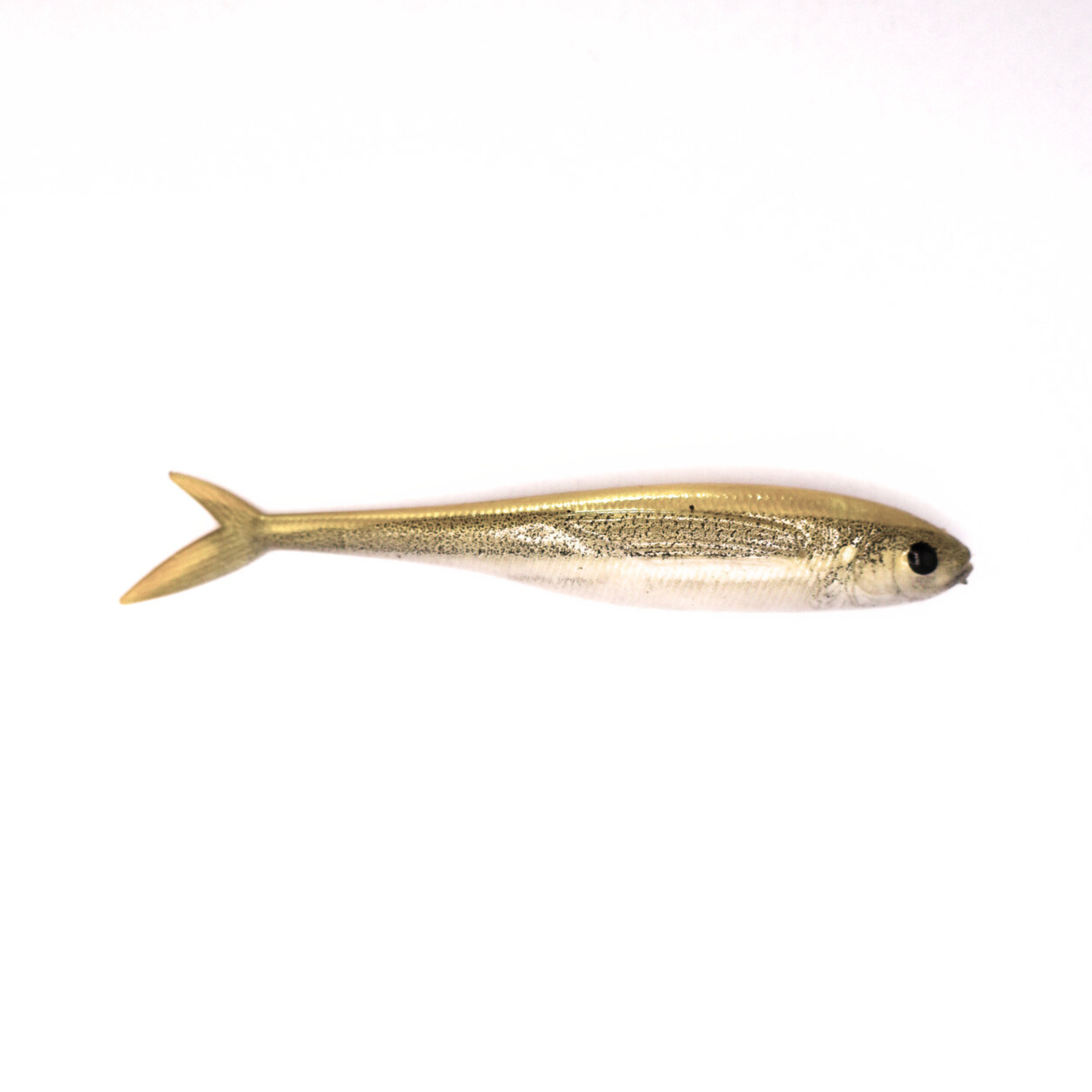 S Tackle Fishtail Minnow White Bait 3D 2.5" Soft Plastic Lure - 6 Pack