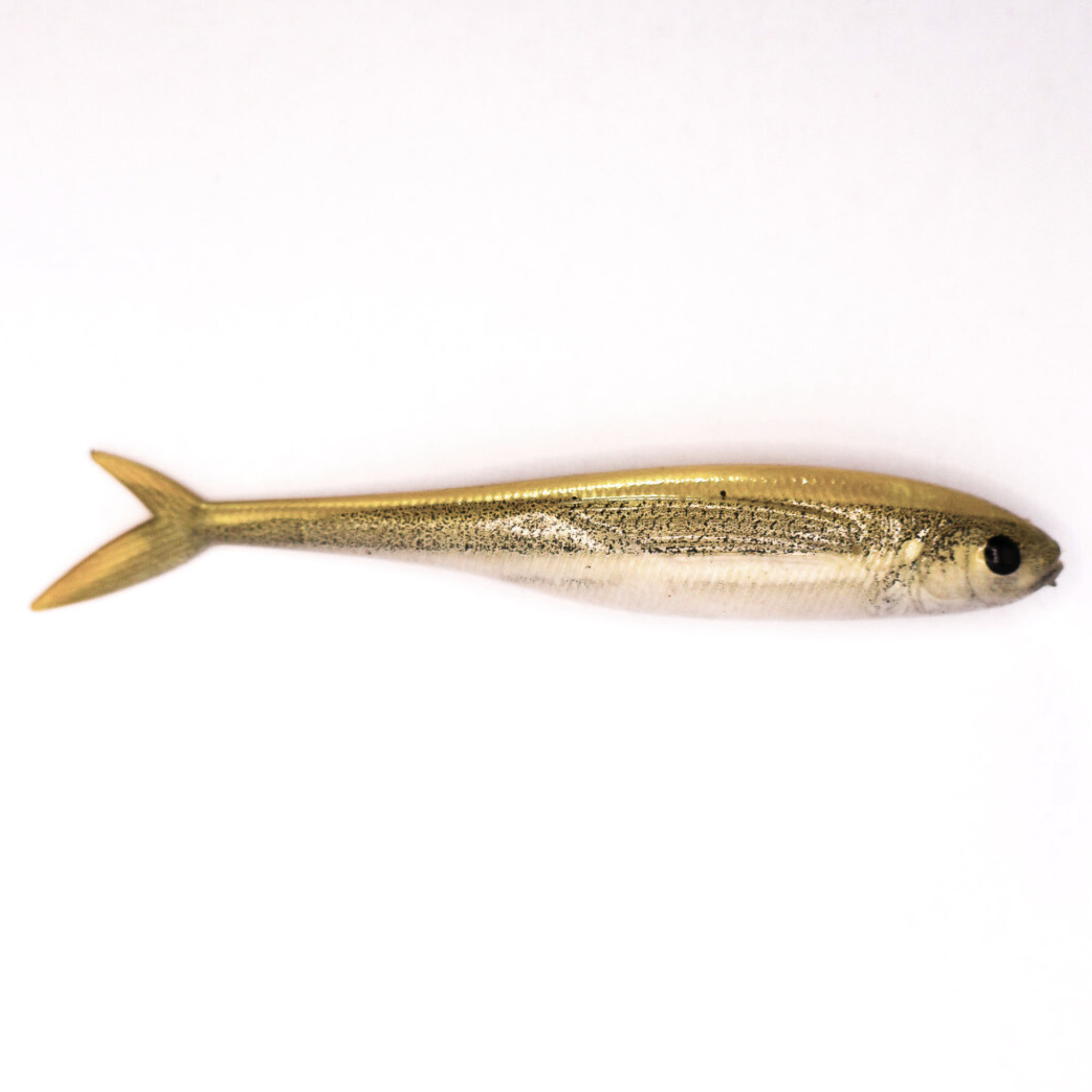 S Tackle Fishtail Minnow White Bait 3D 4" Soft Plastic Lure - 3 Pack