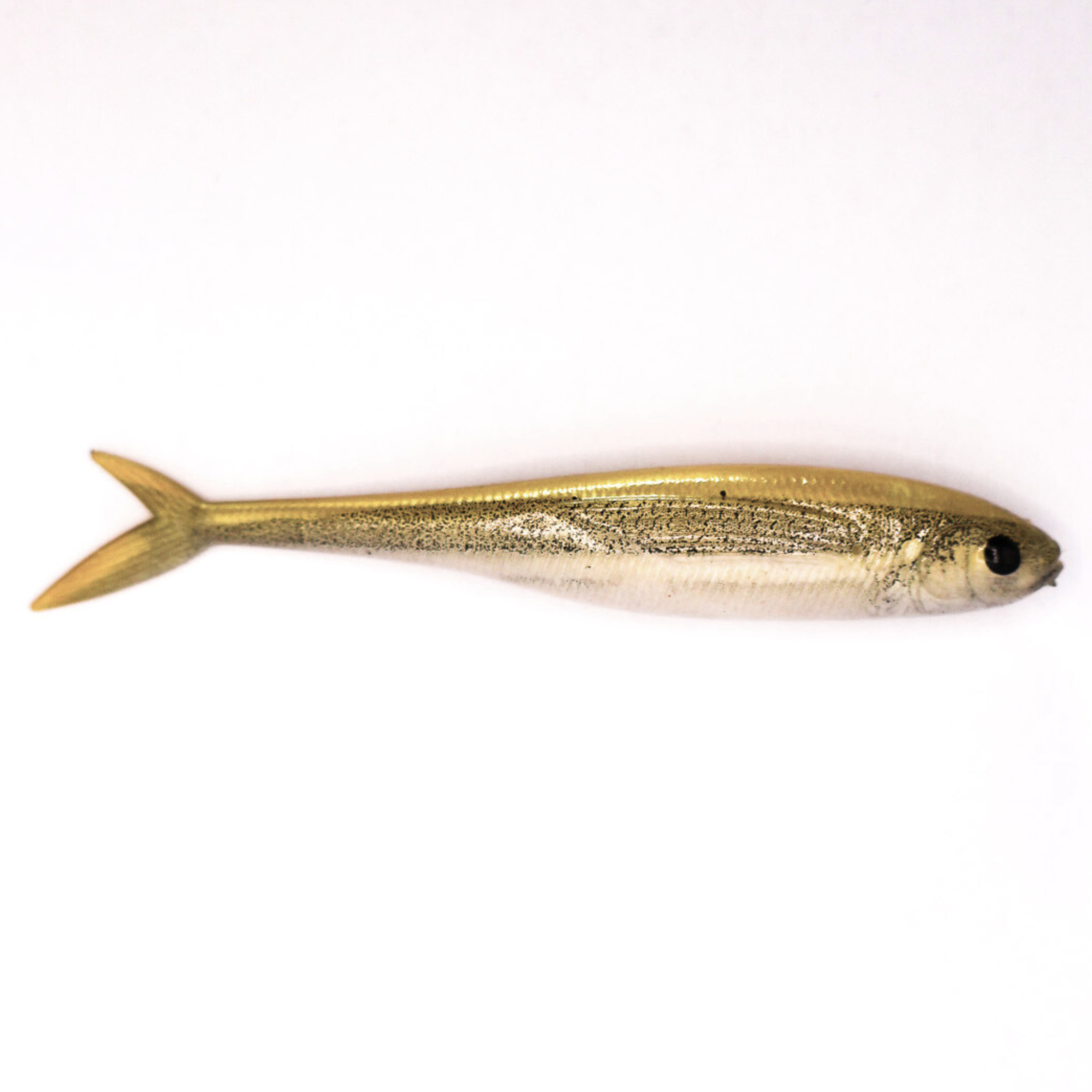 S Tackle Fishtail Minnow White Bait 3D 2.5" Soft Plastic Lure - 6 Pack