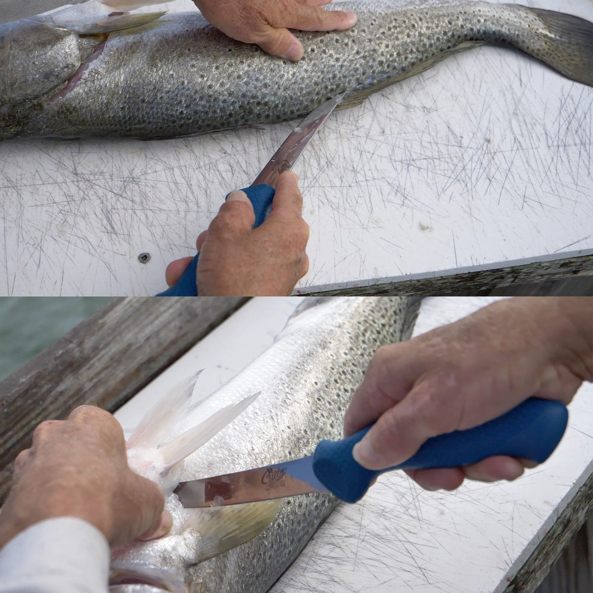 Cuda Aqua Tuff Filleting Knife