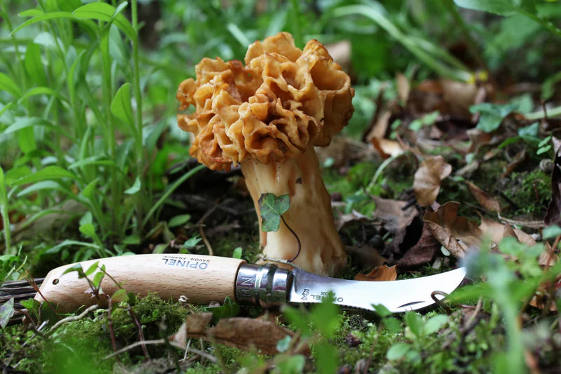 Opinel Mushroom Knife #8 with Sheath & Gift Box