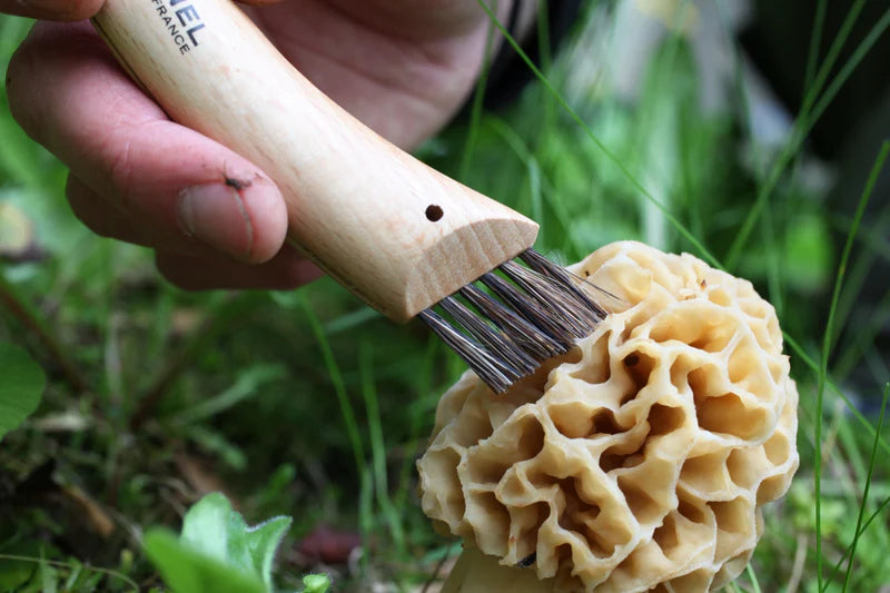 Opinel Mushroom Knife #8 with Sheath & Gift Box
