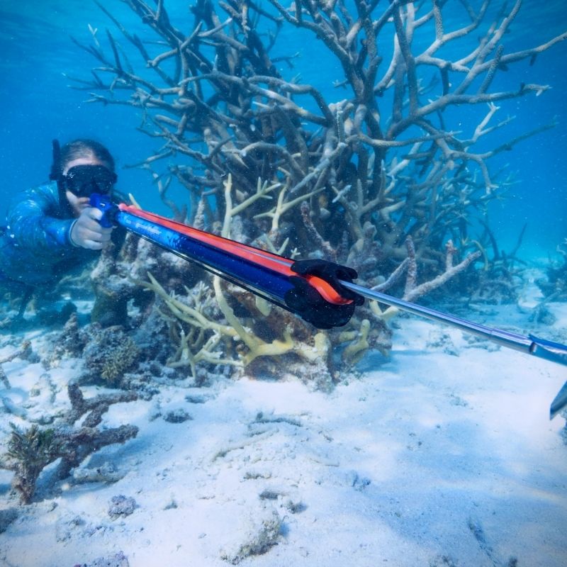 Oceanhunter SGS 800 Speargun