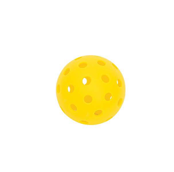 Hart Sport Indoor Pickle Ball