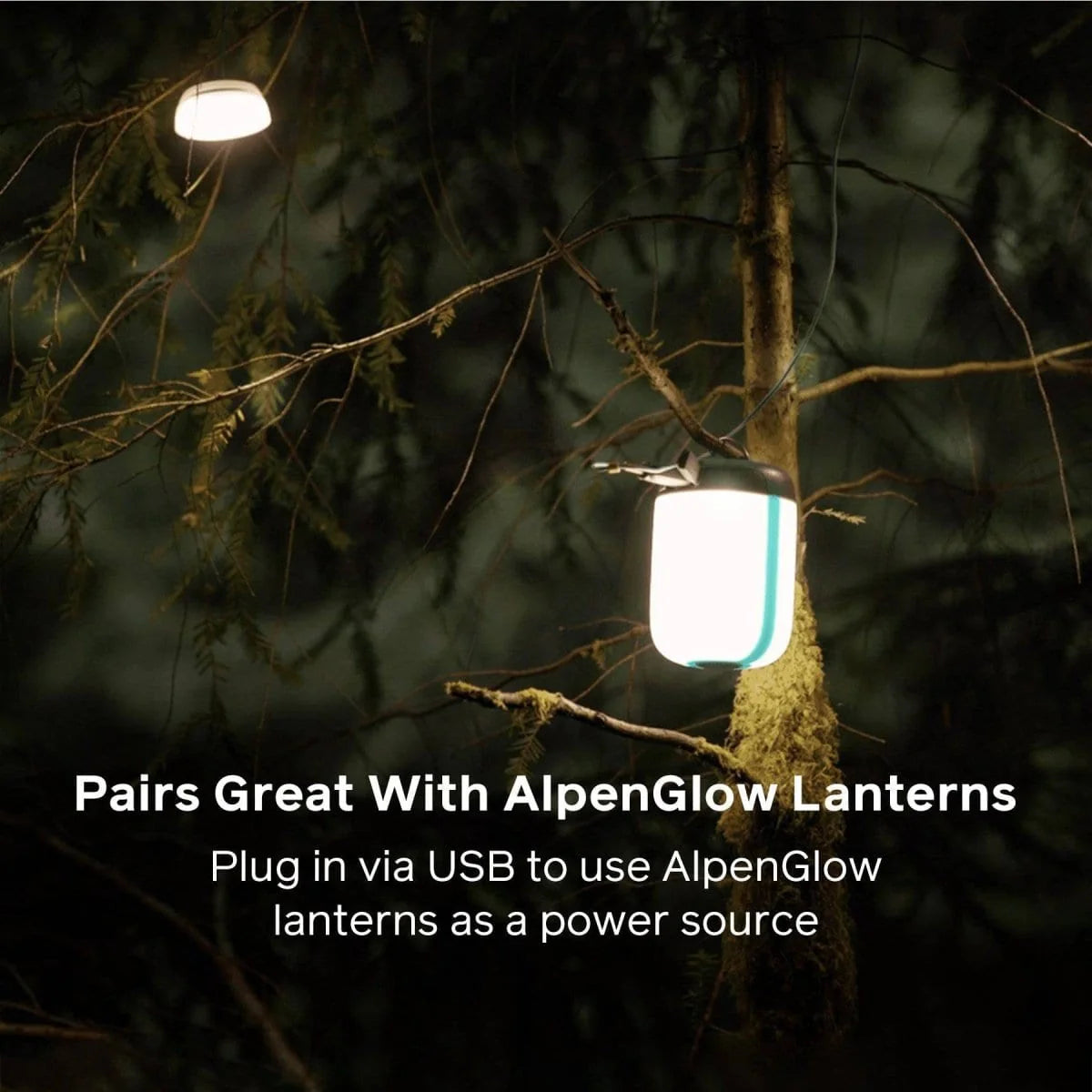 BioLite SiteLight String Lights