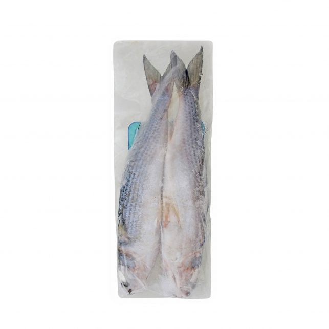 Tweed Bait Whole Mullet