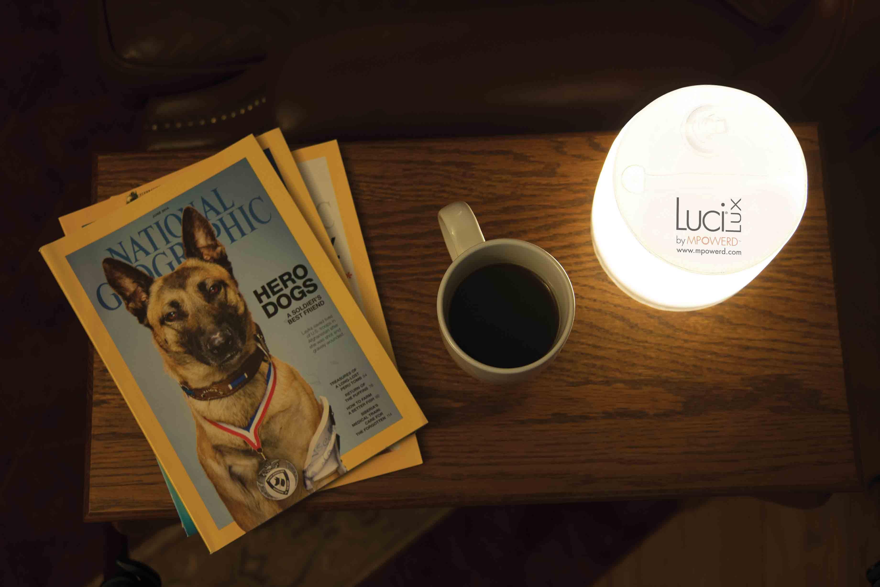 Luci Lux Solar Lantern With Frosted Finish